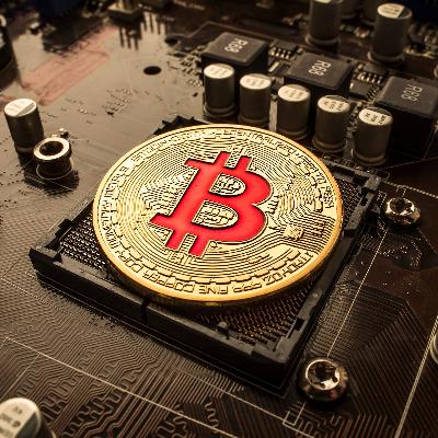 Bitcoin Bites Episode 6: Nodes: The Backbone of Decentralization
