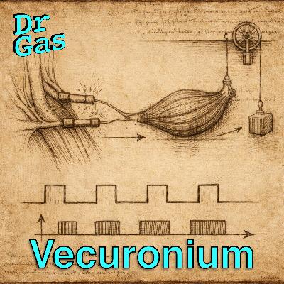 Vecuronium for Aanesthetists + NMB monitoring