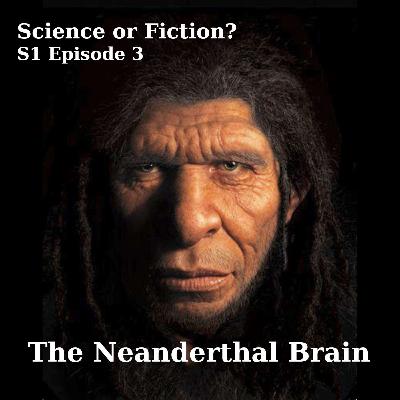 The Neanderthal Brain