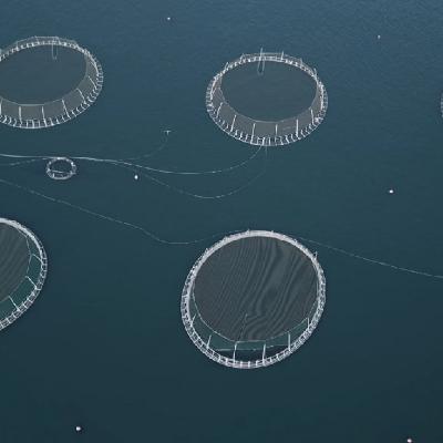 Kenna ikki langtíðaravleiðingar av alivinnu