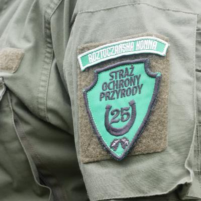 Mariusz Kamiński "Roztoczańska Konna" Mariusz Kamiński "Roztoczańska Konna"