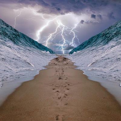 Episode 25 - Exodus 2