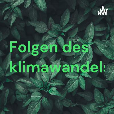 Abschluss