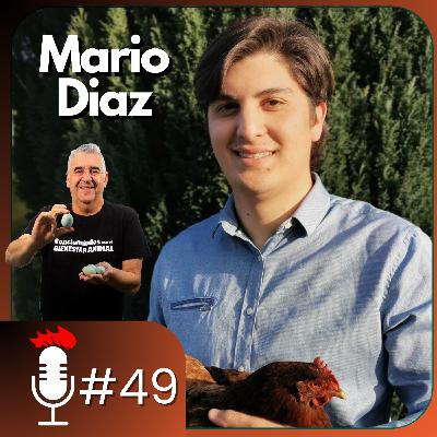 🎙️ Hablando de GALLINAS MAPUCHES | Podcast #49 con Mario Diaz