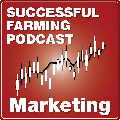 July 2025 Crop Update: Conditions and Challenges
