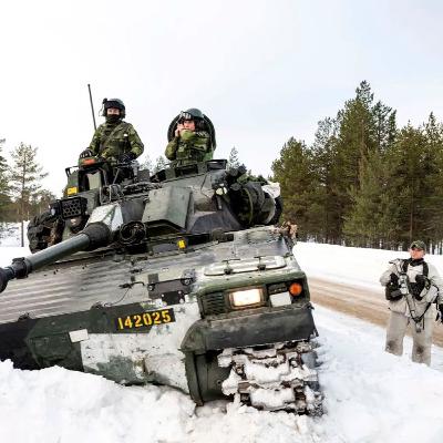 Иррациональный поворот арктической политики североевропейских стран. Подкаст с Натальей Маркушиной
