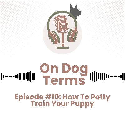 How To Potty Train Your Puppy