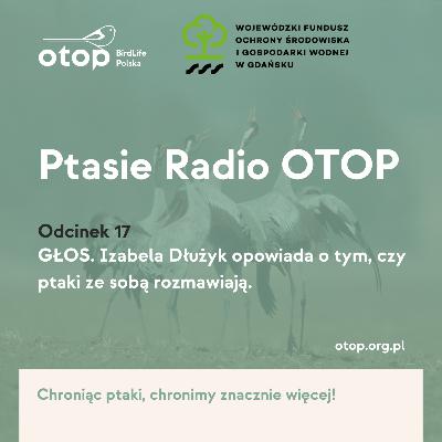Odc. 17 | Głos. Izabela Dłużyk opowiada o tym, czy ptaki ze sobą rozmawiają