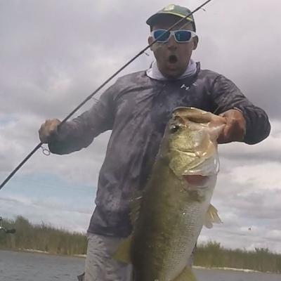 Pesque un Bass gigante en el Doral
