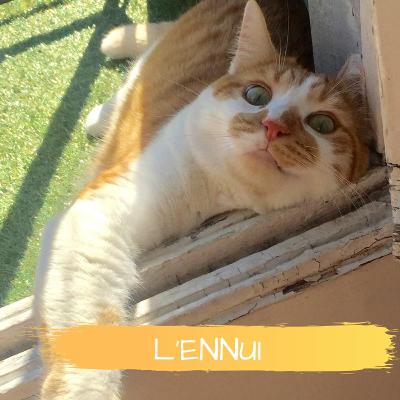 L'ennui, ce vide fertile ! L'ennui, ce vide fertile !