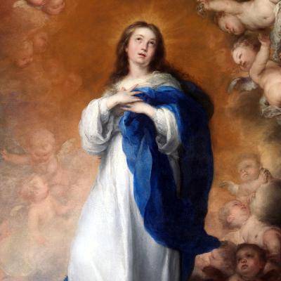 The Immaculate Conception was part of Mary's Vocation The Immaculate Conception was part of Mary's Vocation