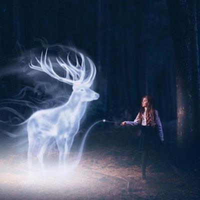 Animales Fantásticos 🐲✨