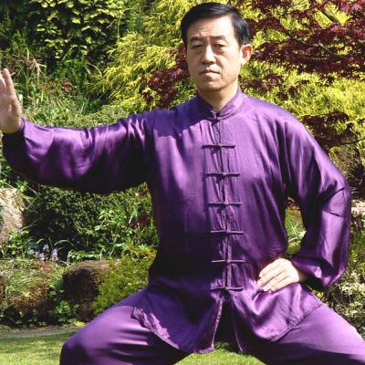 Chen Zhenglei: O výrazném pokroku - Umění Tchaj-ťi čchüan