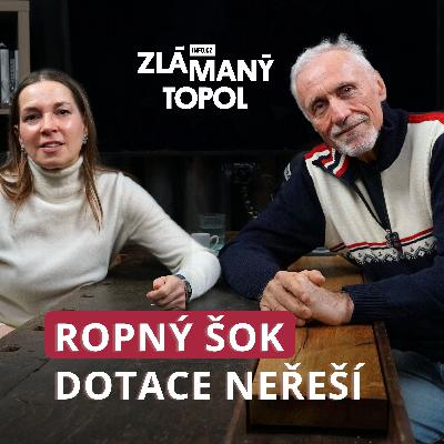 Topolánek varuje: Nebude to jen o naftě. Zdražení potravin bude brutální