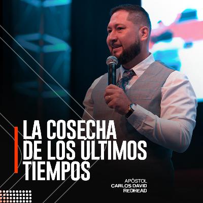 La cosecha de los últimos tiempos
