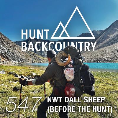 547 | NWT Dall Sheep (Before the Hunt)