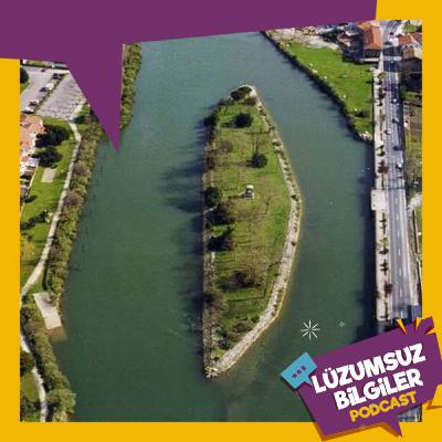 LB43 - Mütemadiyen Ülkesi Değişen Pheasant Adası