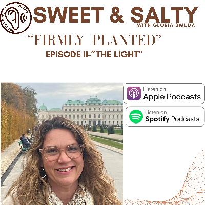 Sweet & Salty: Firmly Planted: Episode II "THE LIGHT" Sweet & Salty: Firmly Planted: Episode II "THE LIGHT"