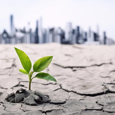 La Terra, fra livelli di calore da primato, squilibrio energetico e crescente emergenza climatica