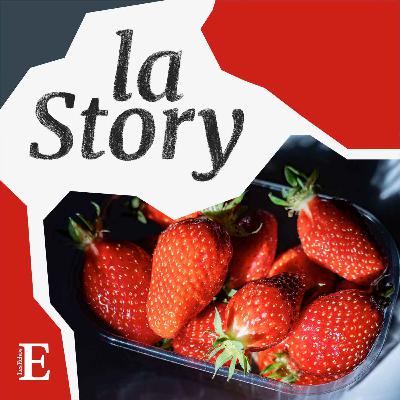 Comment la fraise française a retrouvé la pêche