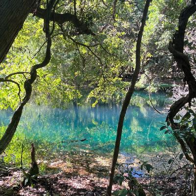 #15【山形】丸池様、赤湯ラーメン
