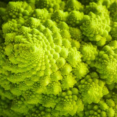 117 | Uno spettro s’aggira per il mondo e non è un virus