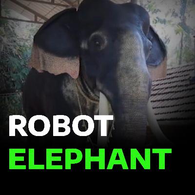 ഇനി ഉത്സവങ്ങളിൽ റോബോട്ട് ആനകളുടെ ആറാട്ട് | Robot Elephant in Thrissur Temple