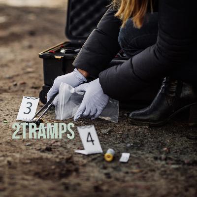 2 Tramps Дилетанты 21 Голливуд Детективная История ч. 2