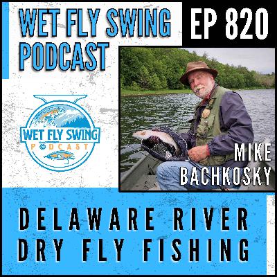 820 | Delaware River Dry Fly Fishing with Mike Bachkosky - Rise Forms, Sulphurs, Unusual