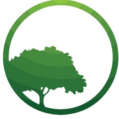 Chapter 2b - Comments