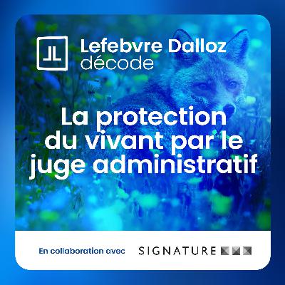 « Le rôle du juge administratif en matière environnementale a pris de l'ampleur ces dernières années » « Le rôle du juge administratif en matière environnementale a pris de l'ampleur ces dernières années »