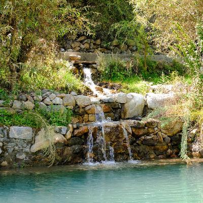 תרגול בסיס | 10 דק של מיינדפולנס