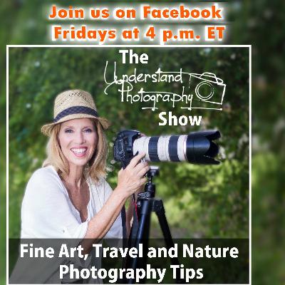 Learn to See and Work with the Light in Landscape Photography
