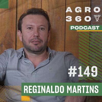 Cavalo Árabe: História, características e o Mercado Bilionário no Oriente Médio