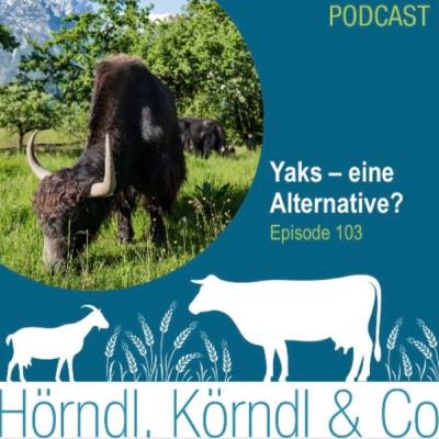 Episode 103: Yaks - eine Alternative?
