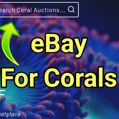 Coral-Auctions.co.uk is Here! The Prestige Reef Dork Show Ep 99