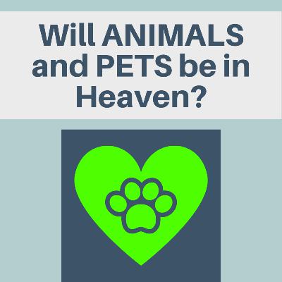 Will animals and pets be in Heaven?