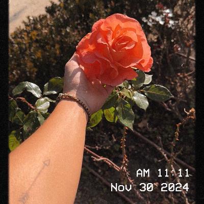 morning poetry in a rose garden