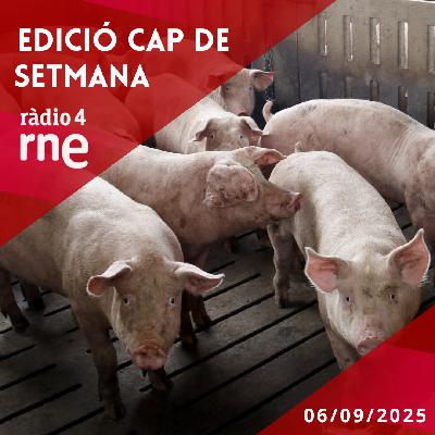 Edició Cap de Setmana 6/09/2025