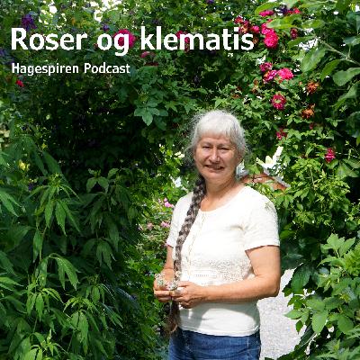 11/26: Roser og klematis med Helen Fredholm 11/26: Roser og klematis med Helen Fredholm