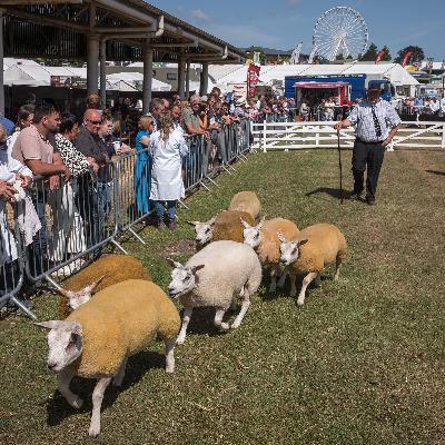 British farmers warn trade deals could threaten livelihoods