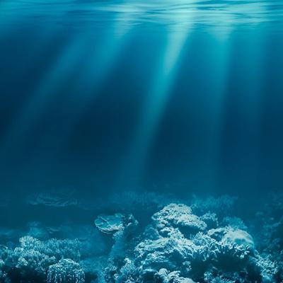 Under the Sea