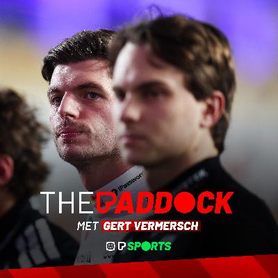 Wie van de drie? - The Paddock met Gert Vermersch