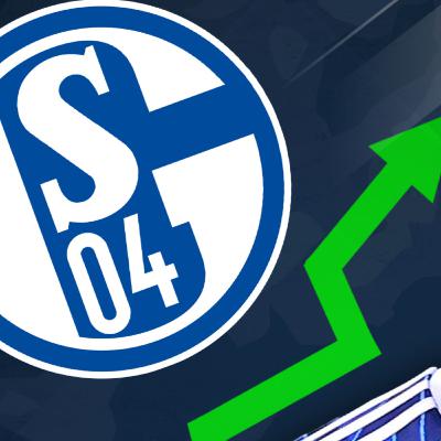 Schalke 04: Herbstmeister... steigt man in die Bundesliga auf?! Schalke 04: Herbstmeister... steigt man in die Bundesliga auf?!