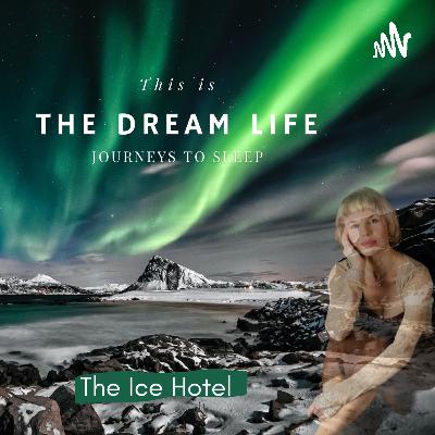 This is the Dream Life Trailer This is the Dream Life Trailer