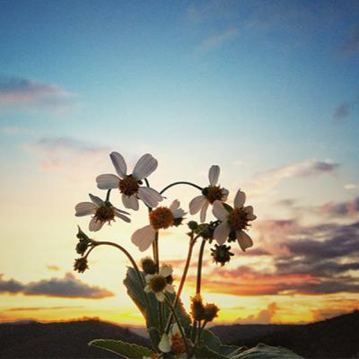 #7. Cuộc Đời Là Bộ Phim Truyền Hình Nhiều Tập #7. Cuộc Đời Là Bộ Phim Truyền Hình Nhiều Tập