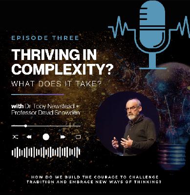 Thriving in  complexity || with Dr Toby Newstead + Professor David Snowden