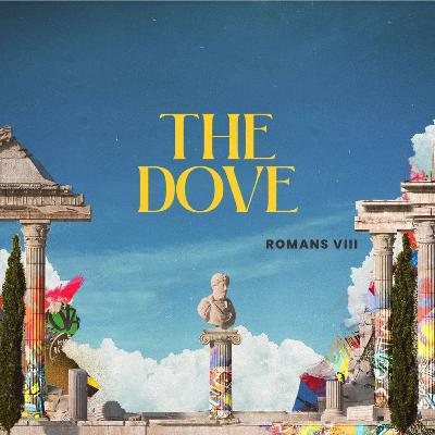 The Dove The Dove