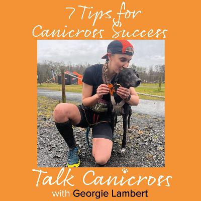 7 Tips For Canicross Success 7 Tips For Canicross Success
