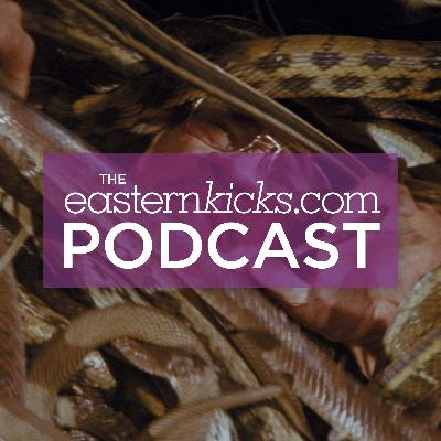 Episode 47 - Calamity of Snakes special